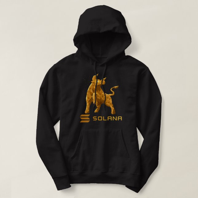 Bull Market Solana SOL Crypto Coin HODL Hoodie (Design Front)