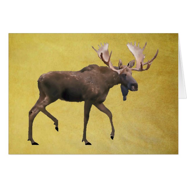 Bull Moose (Front Horizontal)