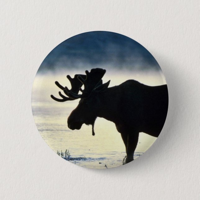 Bull moose 2 inch round button (Front)