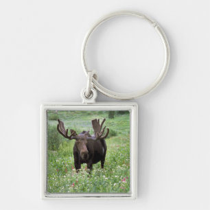 Bull moose Alces alces) in wildflowers, Keychain