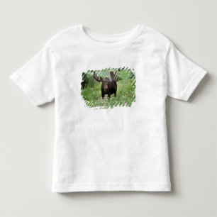Bull moose Alces alces) in wildflowers, Toddler T-shirt