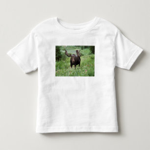Bull moose Alces alces) in wildflowers, Toddler T-shirt
