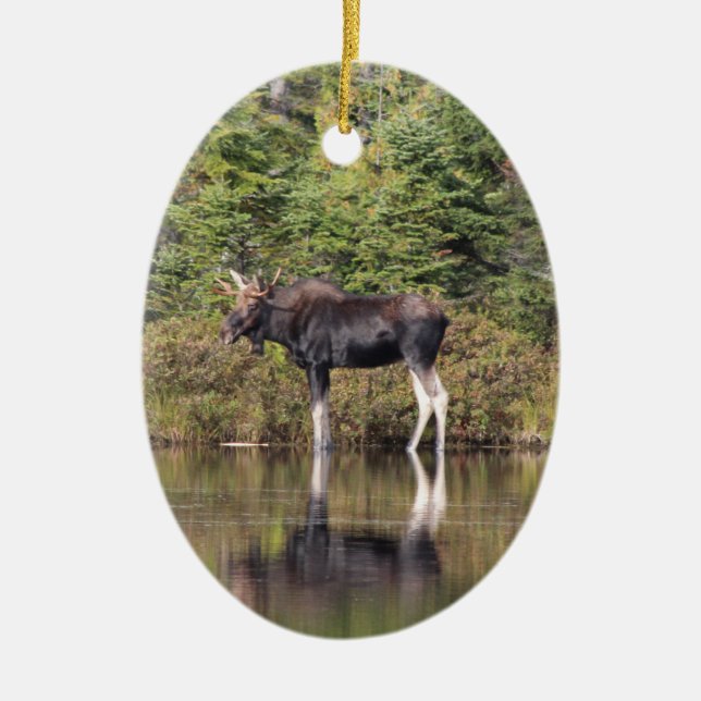Bull Moose Ceramic Ornament (Front)