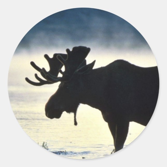 Bull moose classic round sticker (Front)