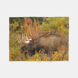 Bull Moose   Denali National Park, Alaska Fleece Blanket