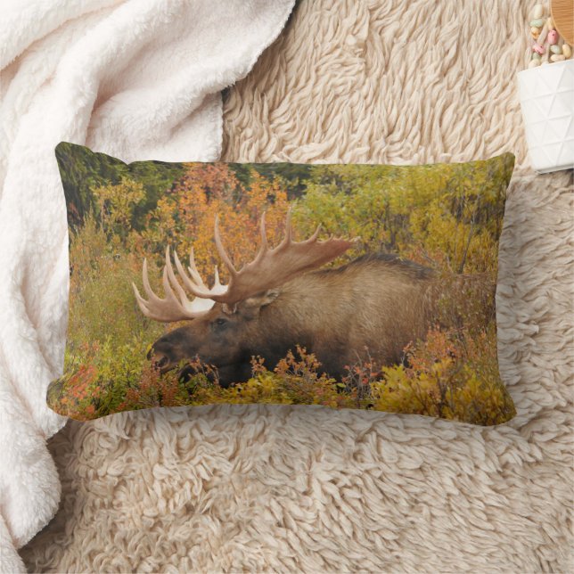 Bull Moose | Denali National Park, Alaska Lumbar Pillow (Blanket)