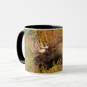 Bull Moose   Denali National Park, Alaska Mug