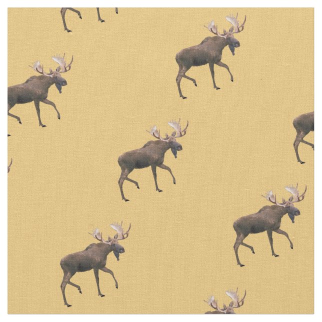 Bull Moose Fabric (Close Up)