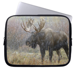 Bull moose in snowstorm with aspen trees laptop sleeve