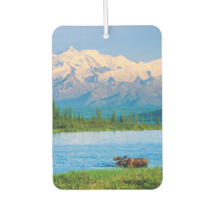 Bull moose in Wonder Lake Air Freshener