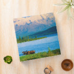 Bull moose in Wonder Lake Binder<br><div class="desc">Wonder Lake,  Bull moose feeds on vegetation,  Alaska mountains in the distance,  Denali National Park,  Alaska</div>