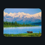 Bull moose in Wonder Lake Magnet<br><div class="desc">Wonder Lake,  Bull moose feeds on vegetation,  Alaska mountains in the distance,  Denali National Park,  Alaska</div>