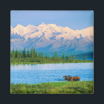 Bull moose in Wonder Lake Magnet<br><div class="desc">Wonder Lake,  Bull moose feeds on vegetation,  Alaska mountains in the distance,  Denali National Park,  Alaska</div>