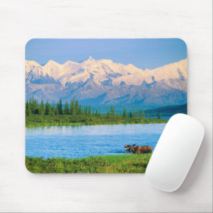 Bull moose in Wonder Lake Mouse Pad