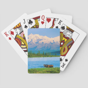 Bull moose in Wonder Lake Playing Cards