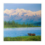 Bull moose in Wonder Lake Tile<br><div class="desc">Wonder Lake,  Bull moose feeds on vegetation,  Alaska mountains in the distance,  Denali National Park,  Alaska</div>