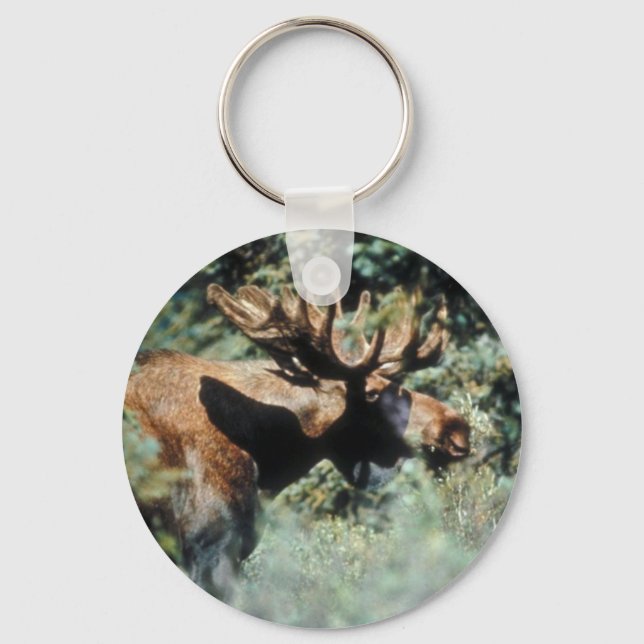 Bull moose keychain (Front)