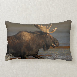 Bull Moose Lumbar Pillow