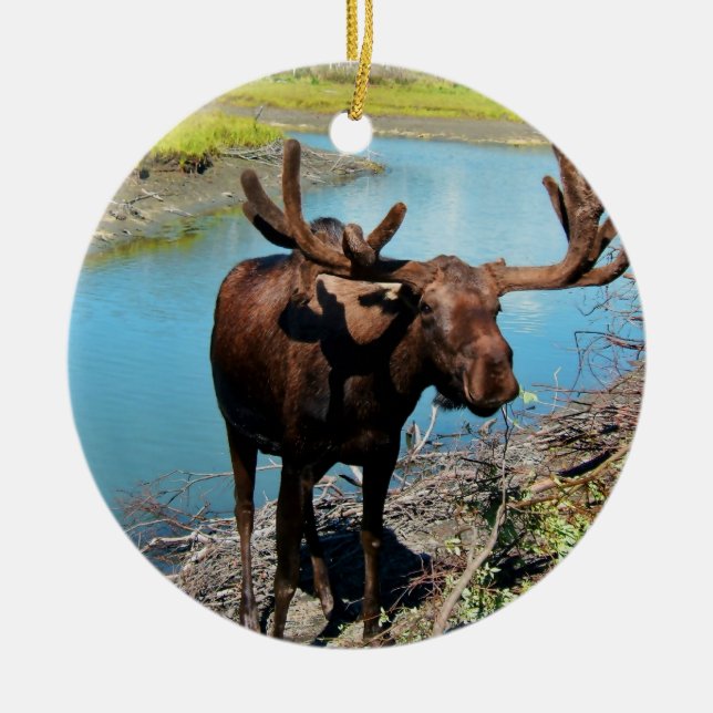 Bull Moose Ornament (Front)