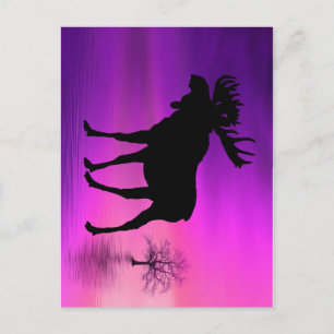 Bull Moose Silhouette Postcard