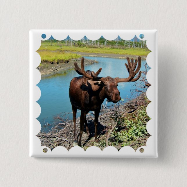 Bull Moose Square Pin (Front)
