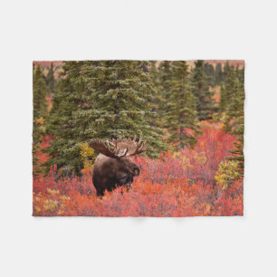 Bull Moose Standing In Red Dwarf Birch Fleece Blanket