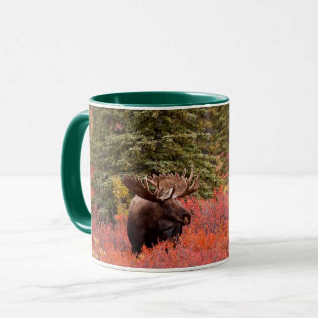 Bull Moose Standing In Red Dwarf Birch Mug (Front Left)