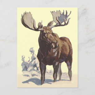 Bull Moose ~ Sunny Winter Day TRAVEL POSTCARD