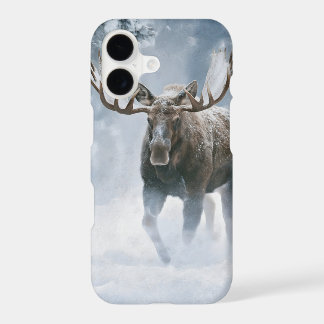 Bull Moose Walking Through Boreal Snow