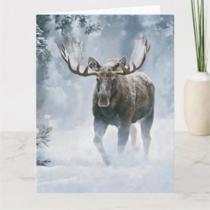 Bull Moose Walking Through Boreal Snow Card