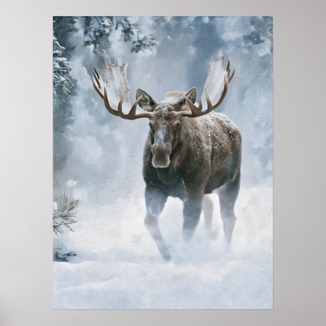 Bull Moose Walking Through Boreal Snow Poster (Front)