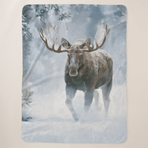 Bull Moose Walking Through Boreal Snow Sherpa Blanket