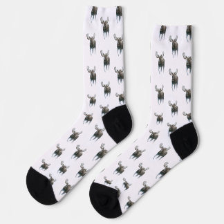 Bull Moose Walking Through Boreal Snow Socks