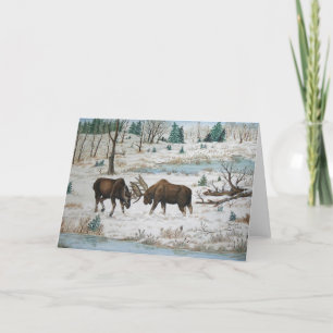 Bull Moose Wildlife Art Card