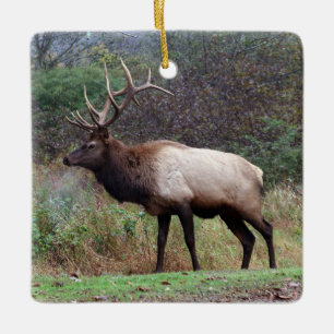 Bull Ornament