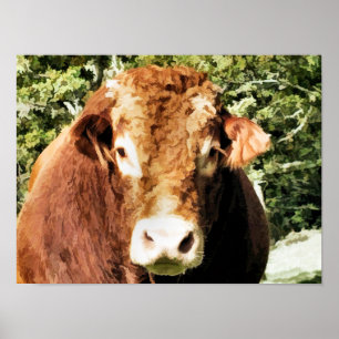 BULL POSTER