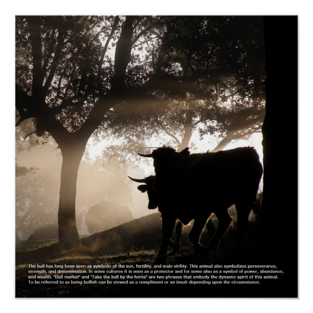 Bull Poster (Front)