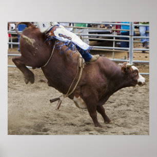 Bull rider at rodeo poster