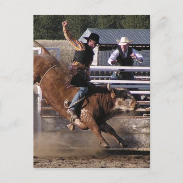 Bull Rider Extreme Postcard (Front)