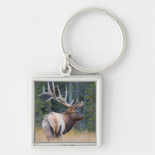 Bull Rocky Mountain Elk Keychain