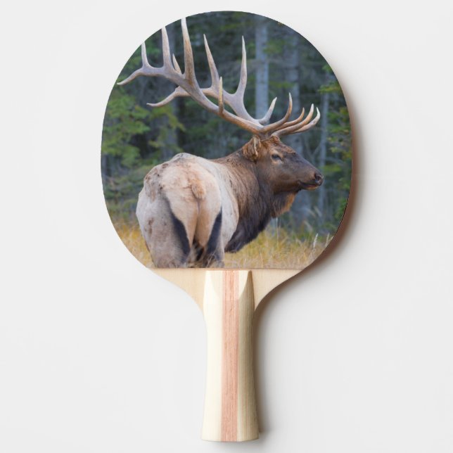 Bull Rocky Mountain Elk Ping Pong Paddle (Front)