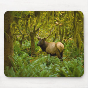 Bull Roosevelt Elk Mouse Pad