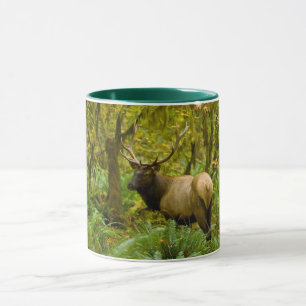 Bull Roosevelt Elk Mug
