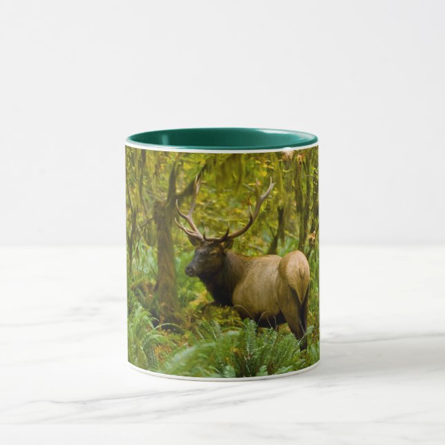 Bull Roosevelt Elk Mug (Center)