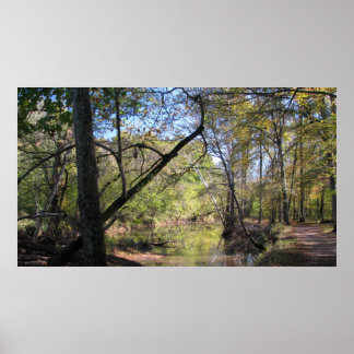 Bull Run Trail Poster