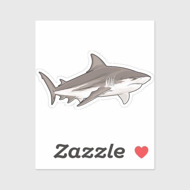 Bull Shark B (Sheet)