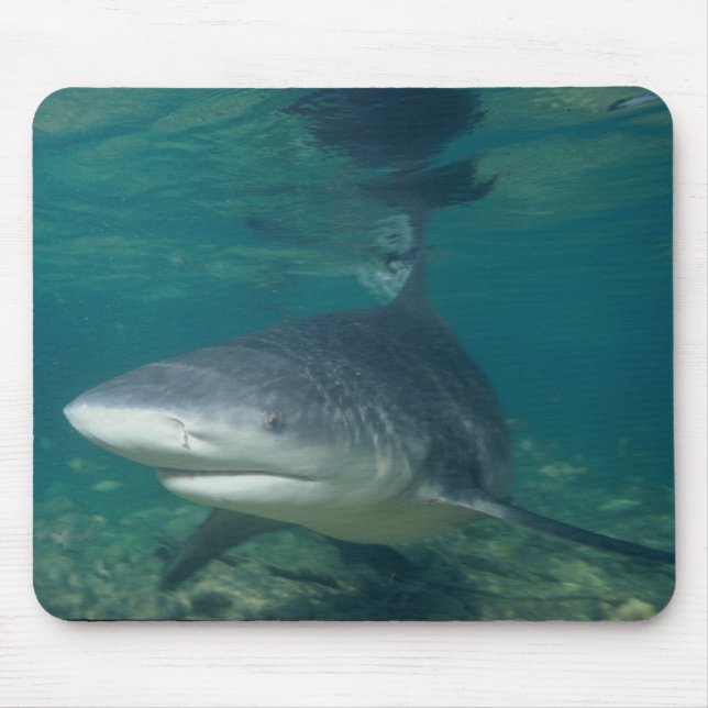 Bull Shark - Carcharhinus leucas Mouse Pad (Front)