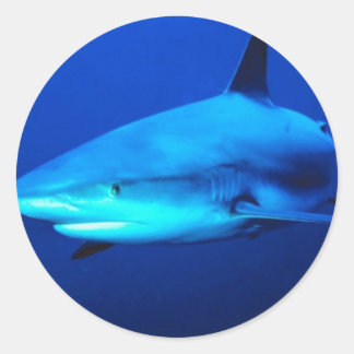 Bull Shark Classic Round Sticker