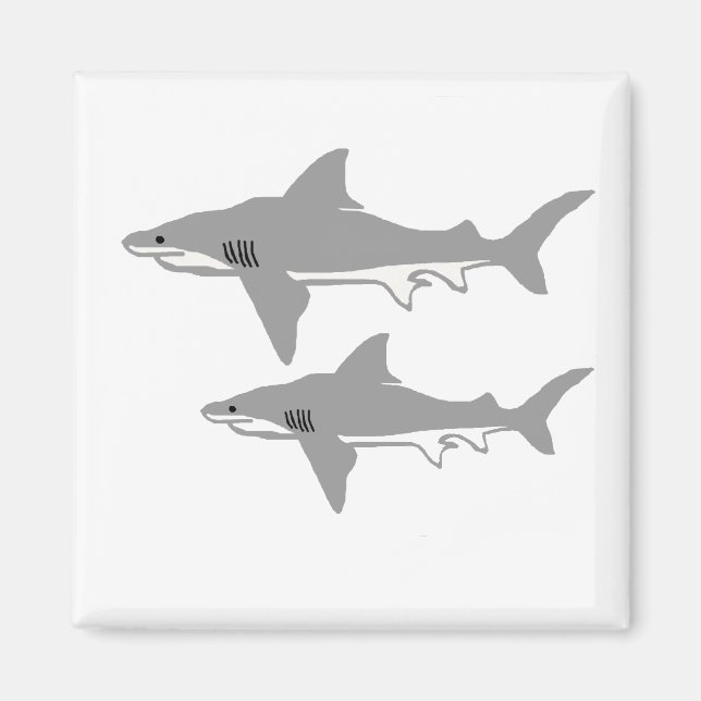 Bull shark magnet (Front)