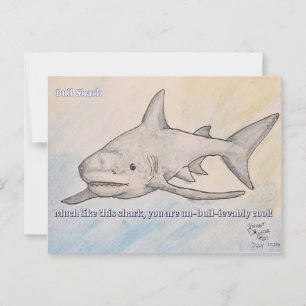 Bull Shark Postcard